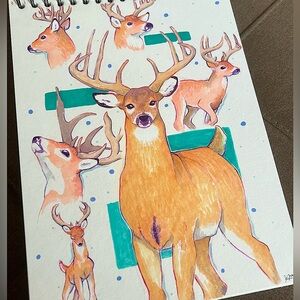 Original Deer Study sketch